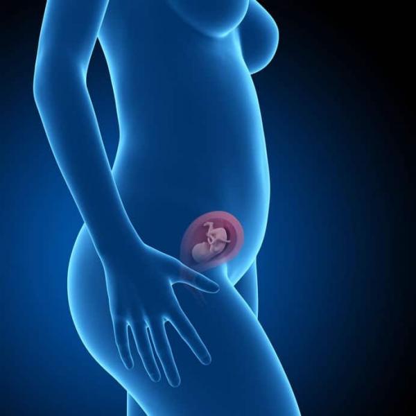 CHECK-UP PREGRAVIDICO