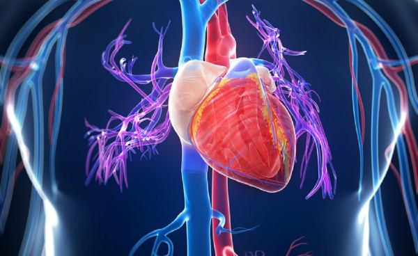 CHECK-UP CARDIOLOGICO