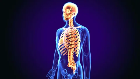 CHECK-UP OSTEOPOROSI