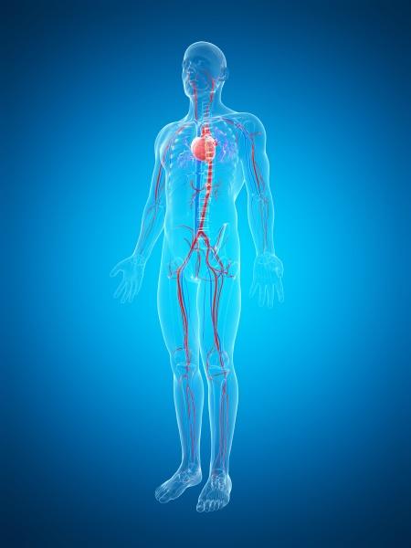 CHECK-UP COAGULAZIONE