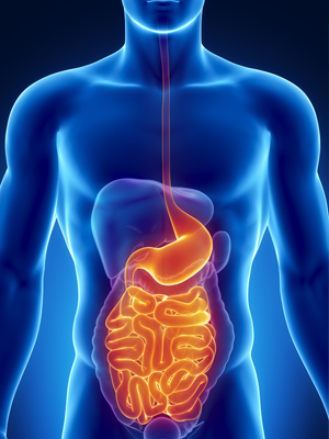 CHECK-UP GASTROENTEROLOGICO