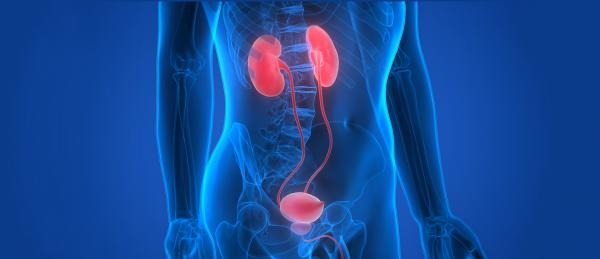 CHECK-UP VIE URINARIE